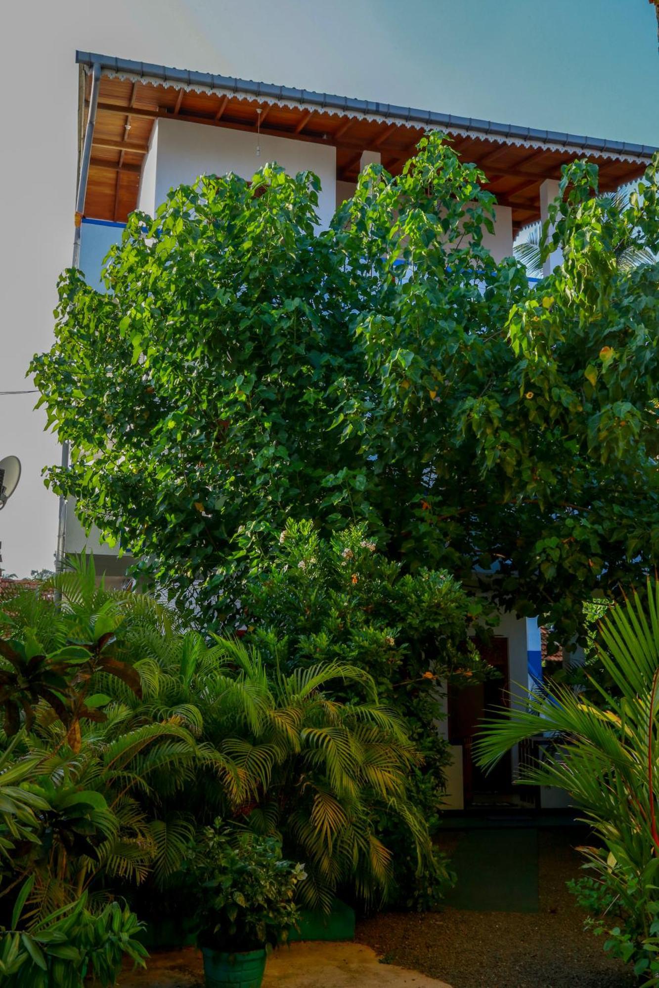 The King Apartment Hikkaduwa Esterno foto